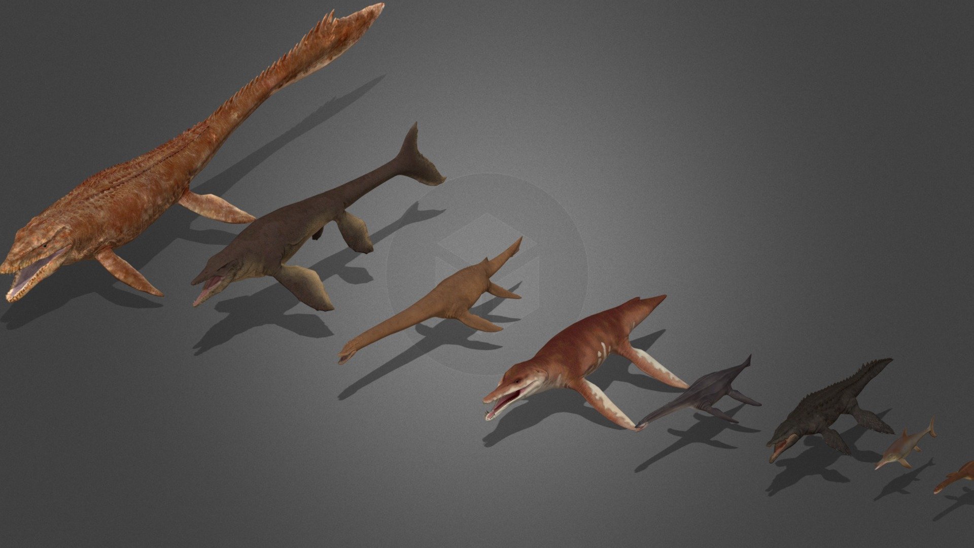 Water Dinosaurs Bundle 3d model