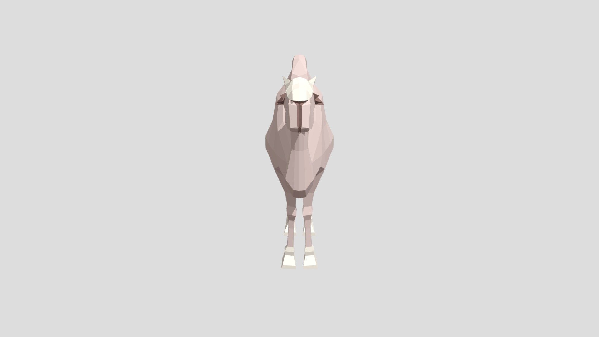 Camel 3d model