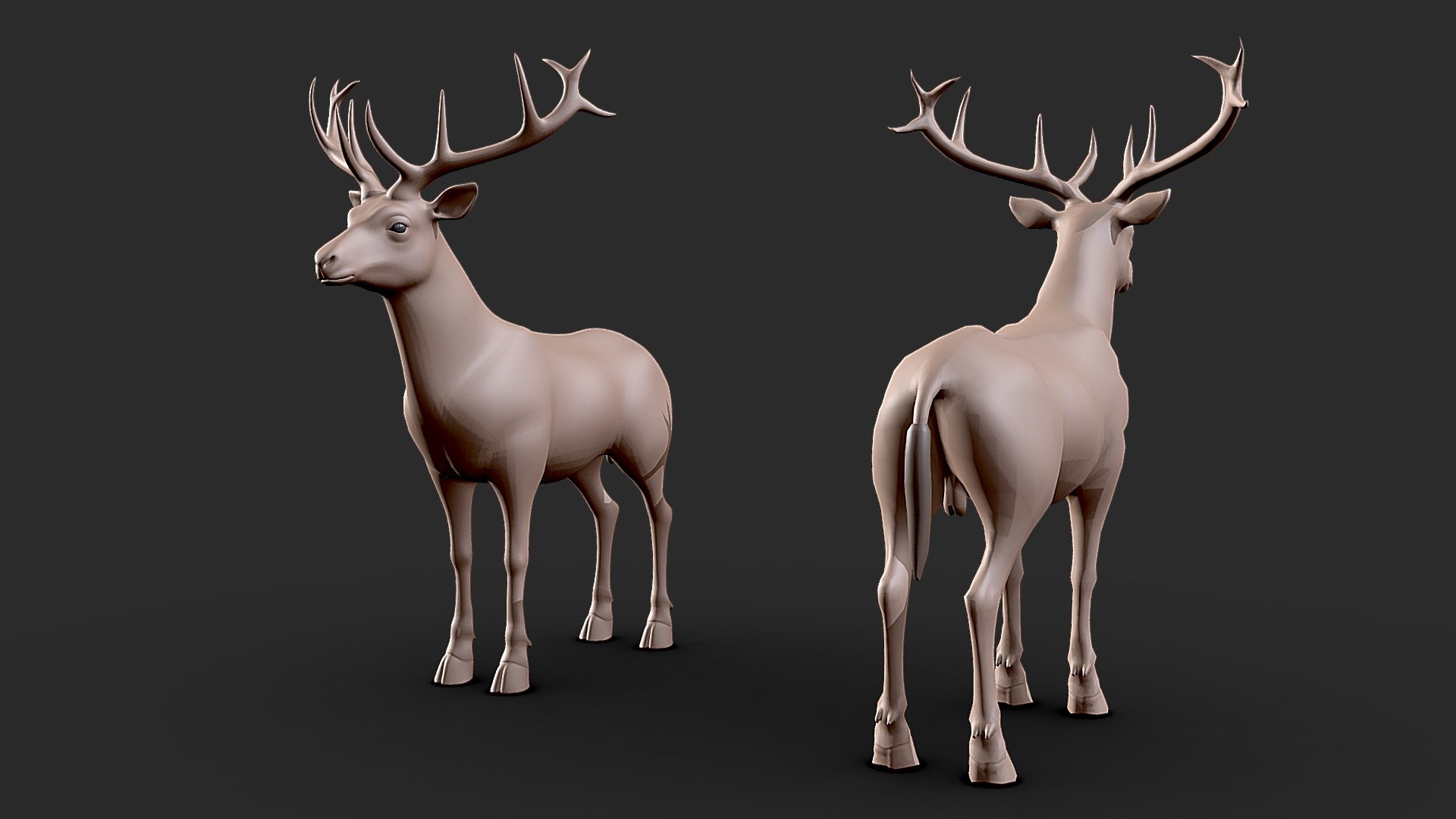 Deer 3d model