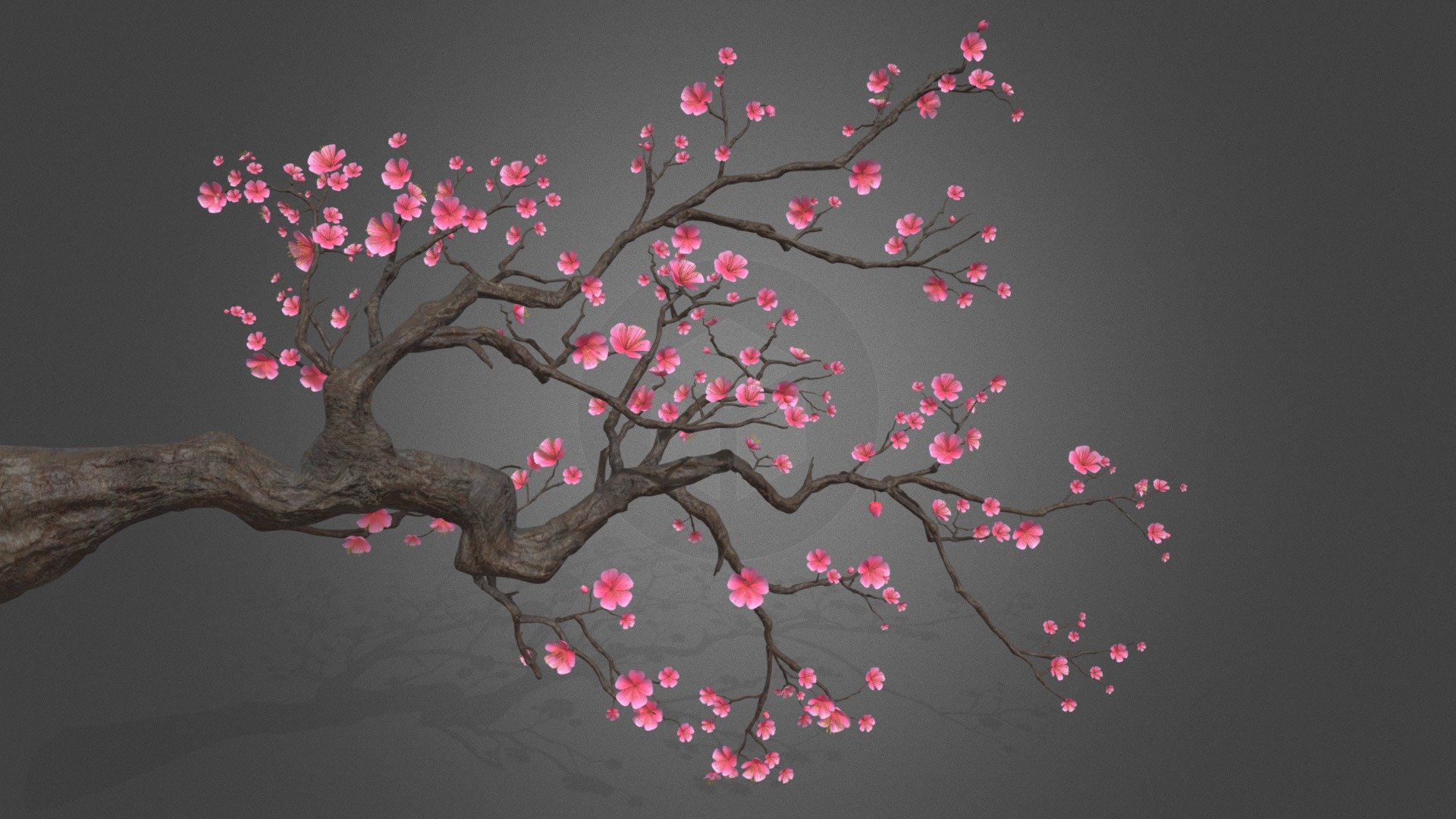 plum blossom 3d model