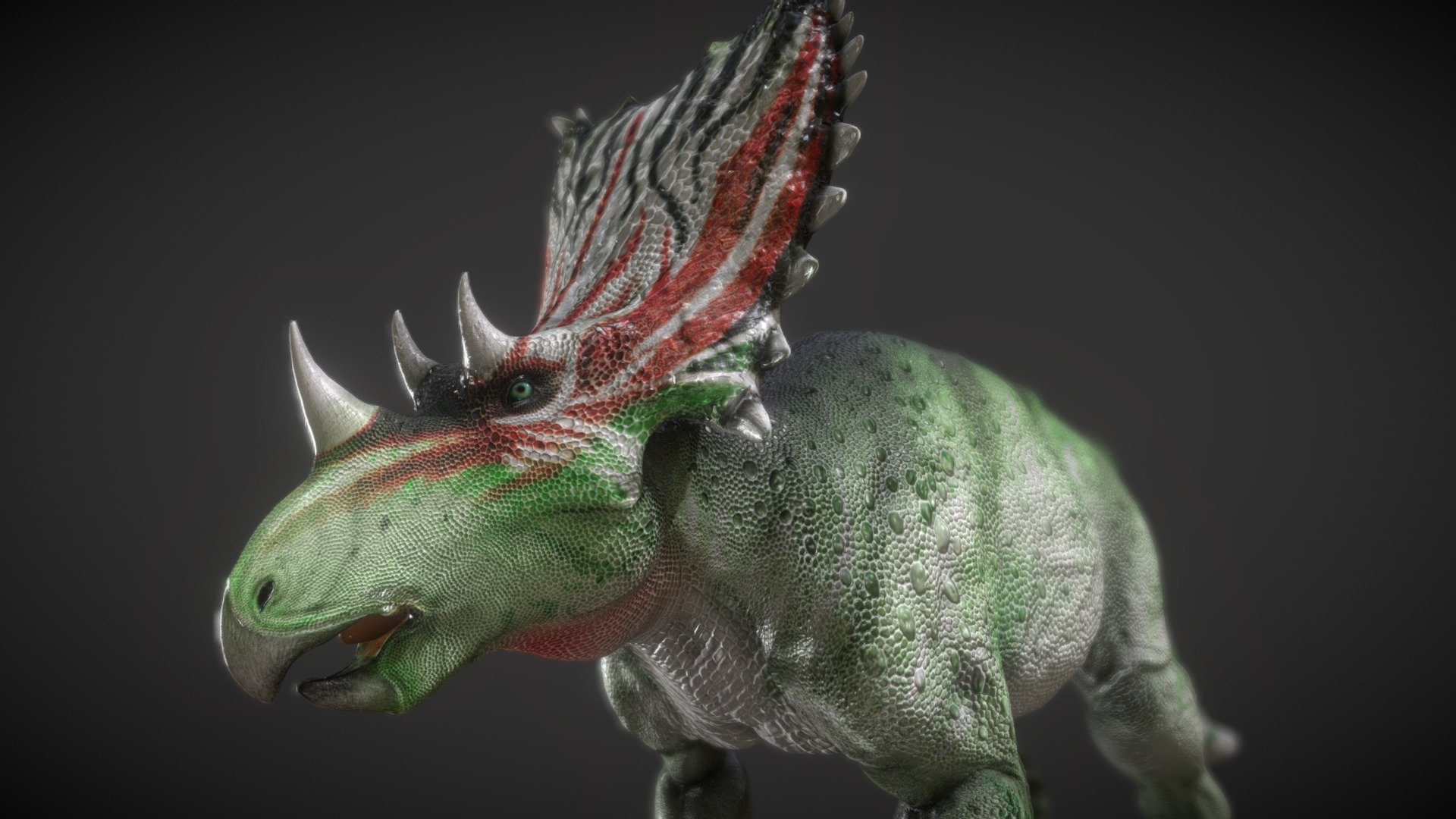 Chasmosaurus 3d model