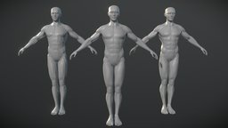 Male Base Mesh