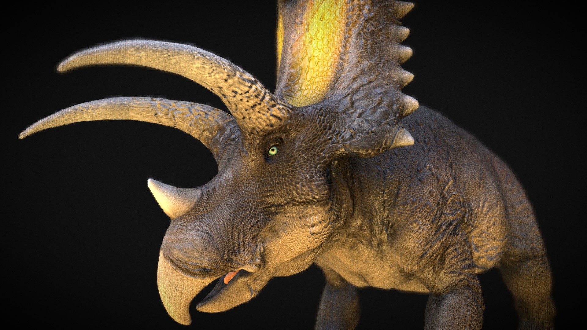 pentaceratops 3d model