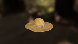 Hidden Town in 3D Straw Hat