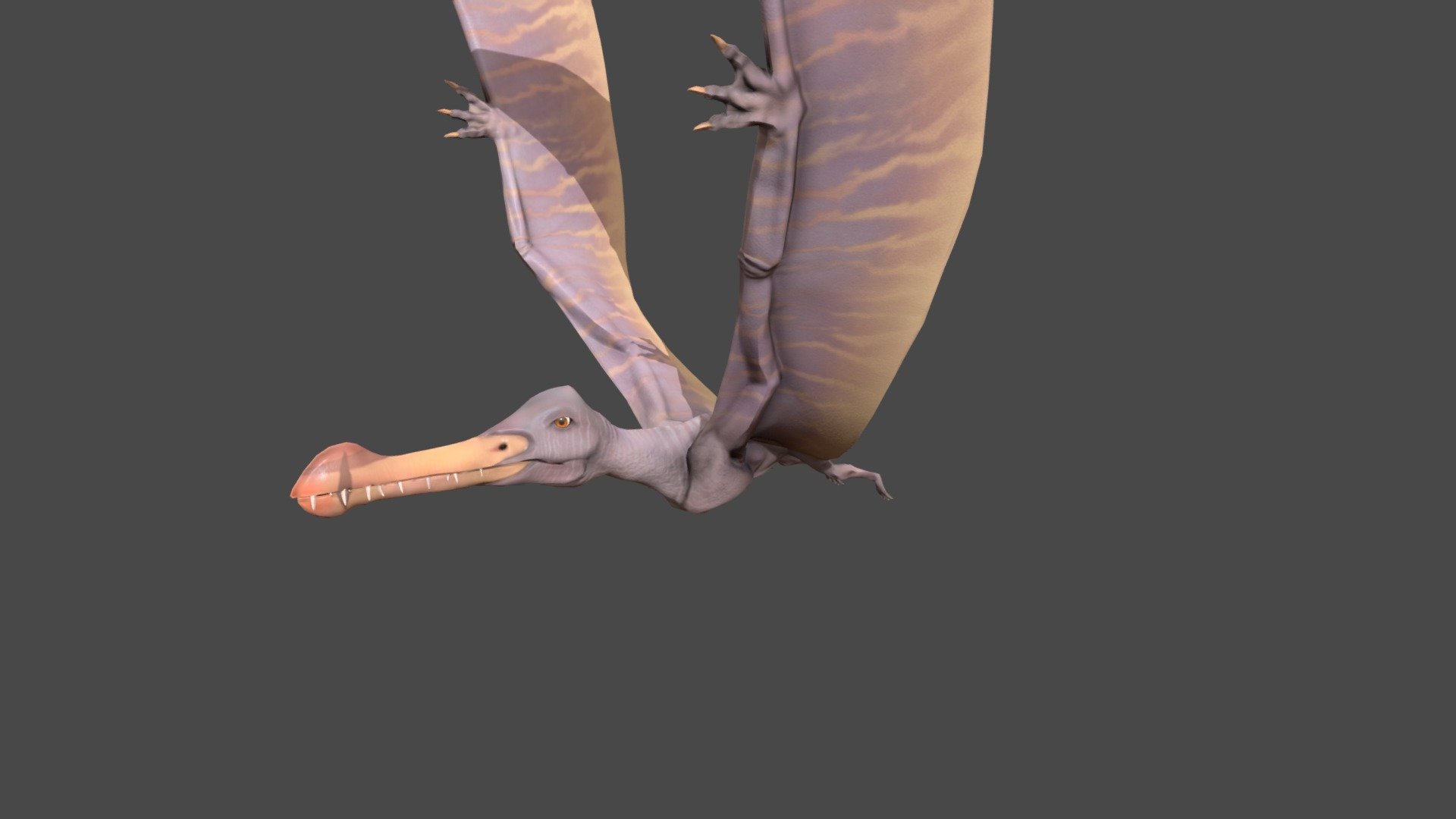 Tropeognathus 3d model