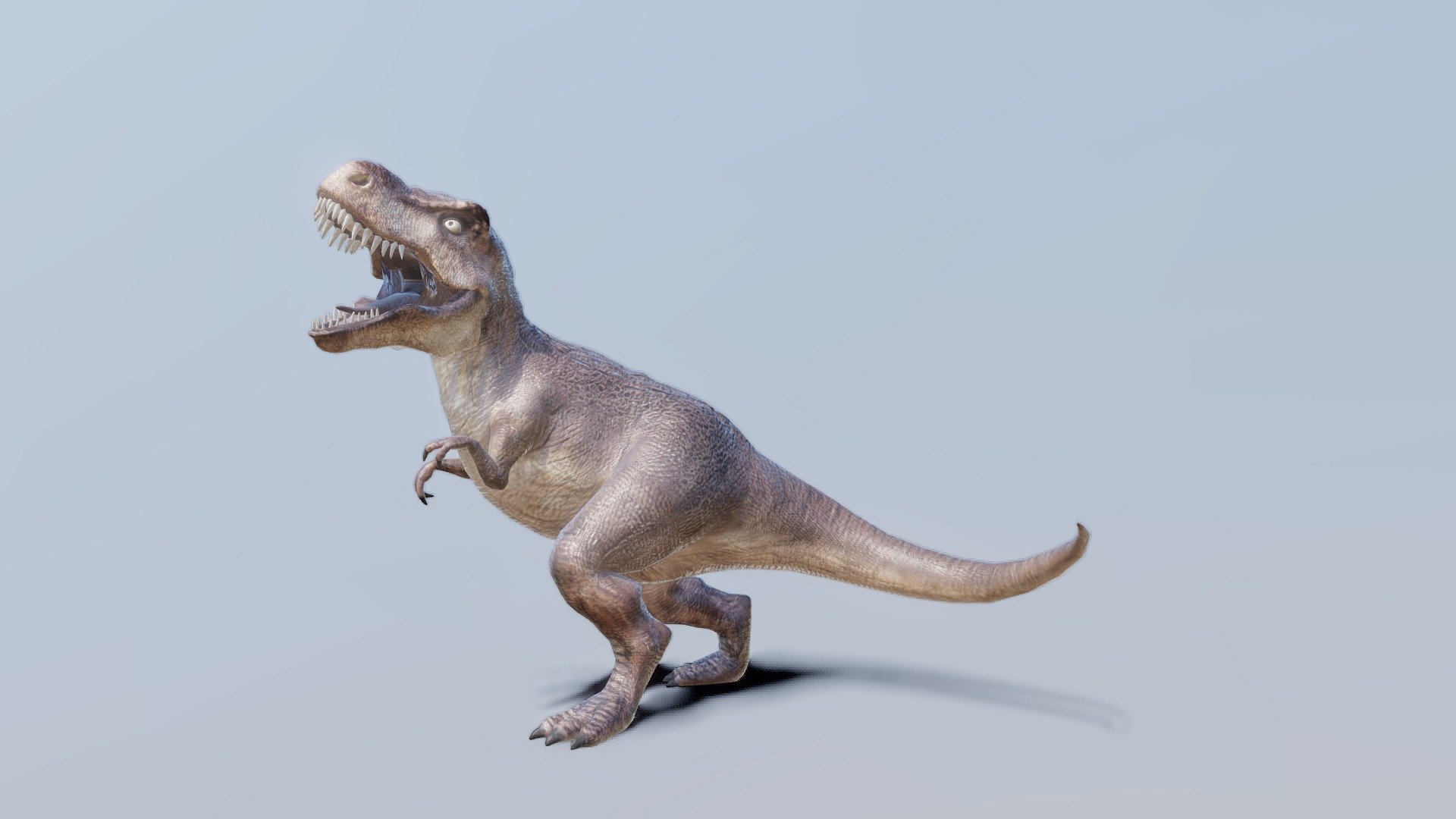 Tyrannosaurus Rex 3d model