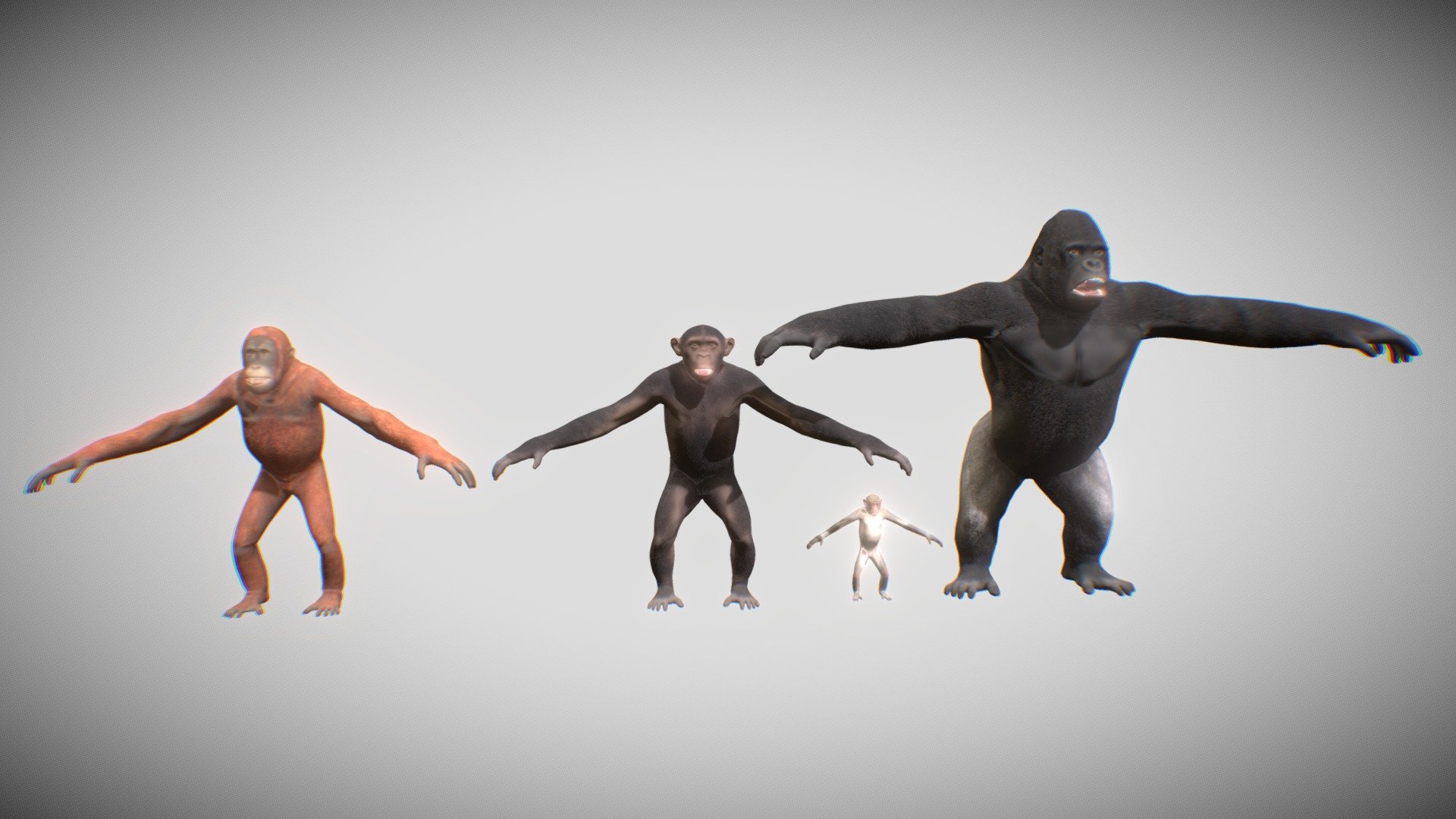 Monkeys 3d model