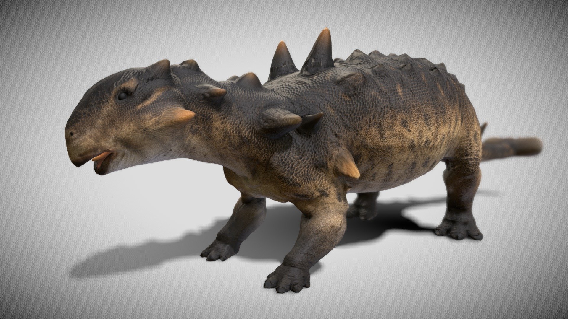 Euoplocephalus 3d model