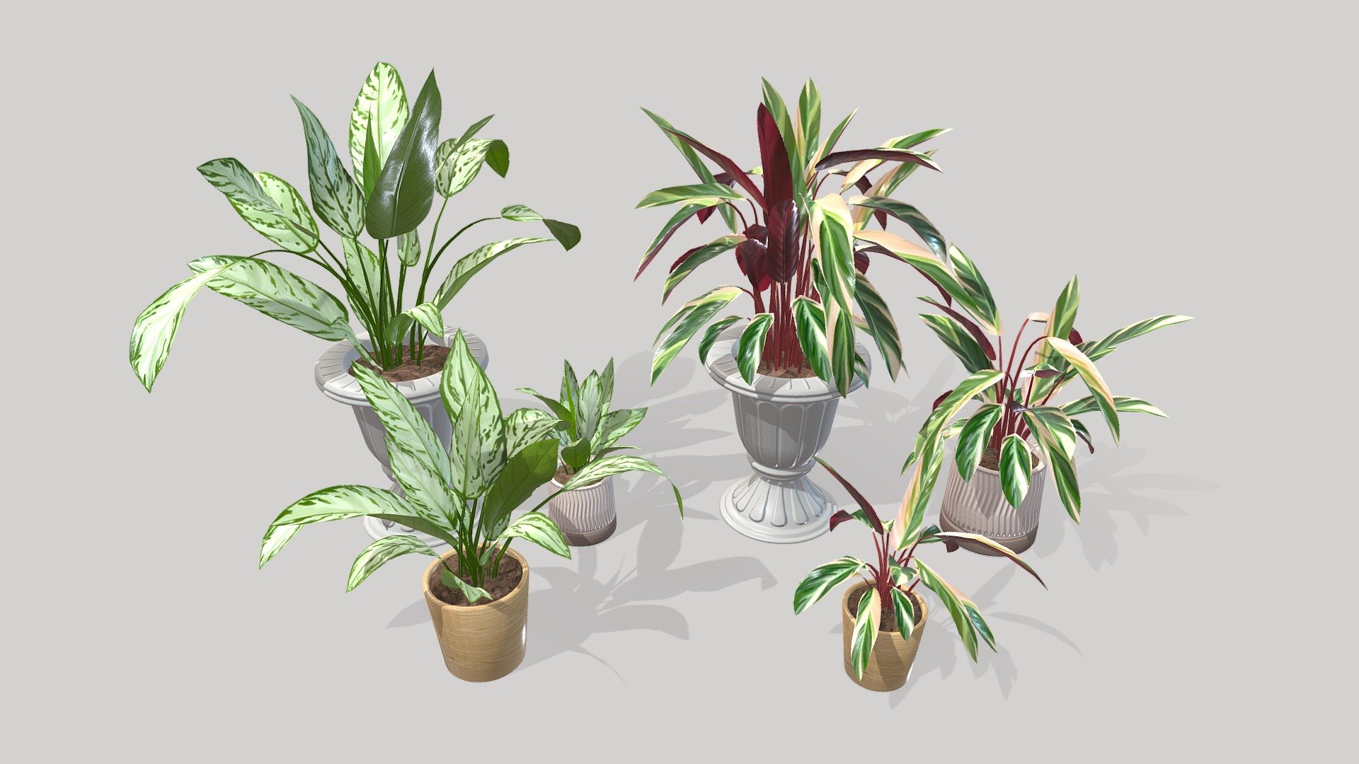 Indoor Plants 3d model