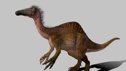 Deinocheirus