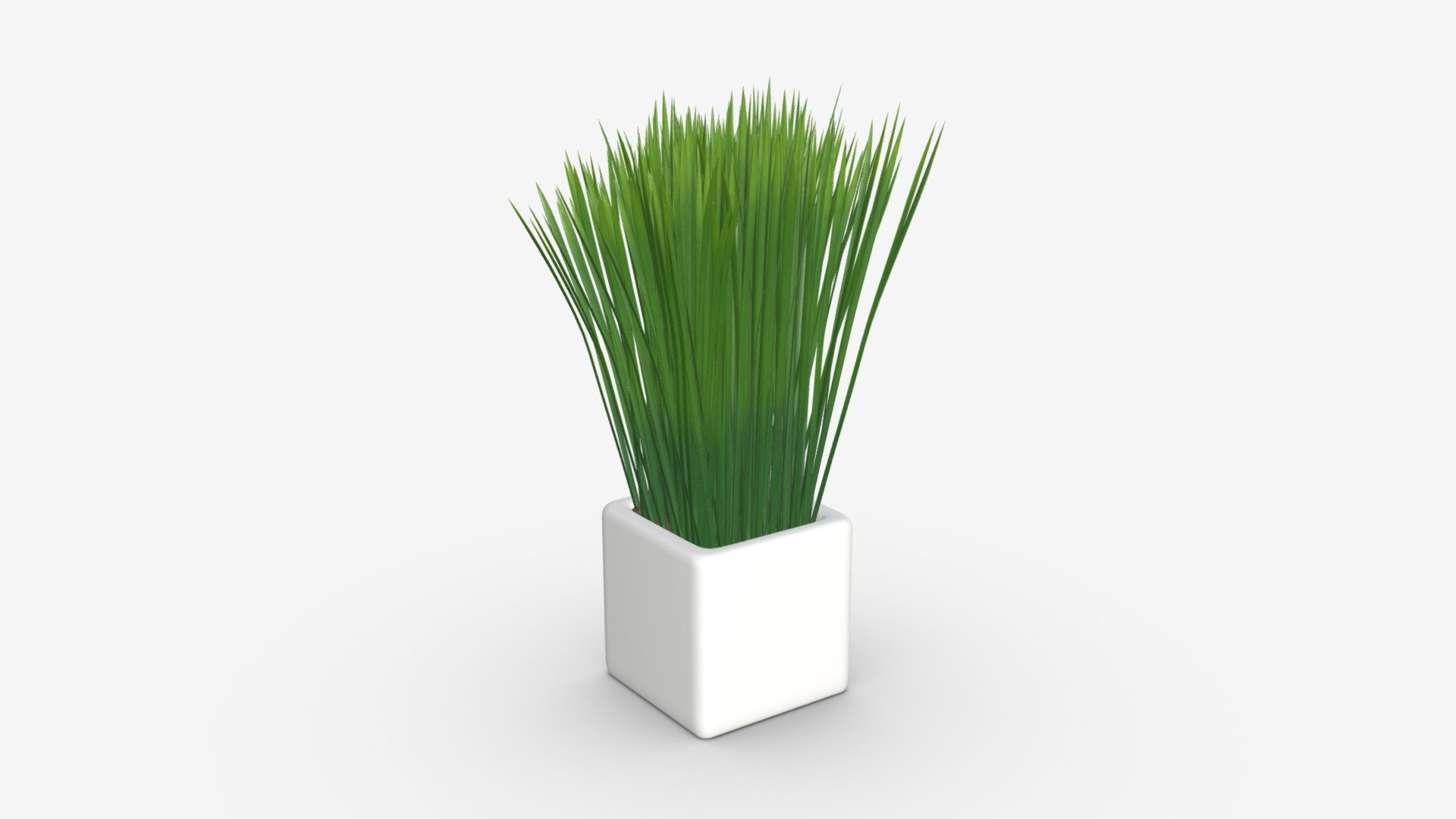 Decorative potted long grass 3d model