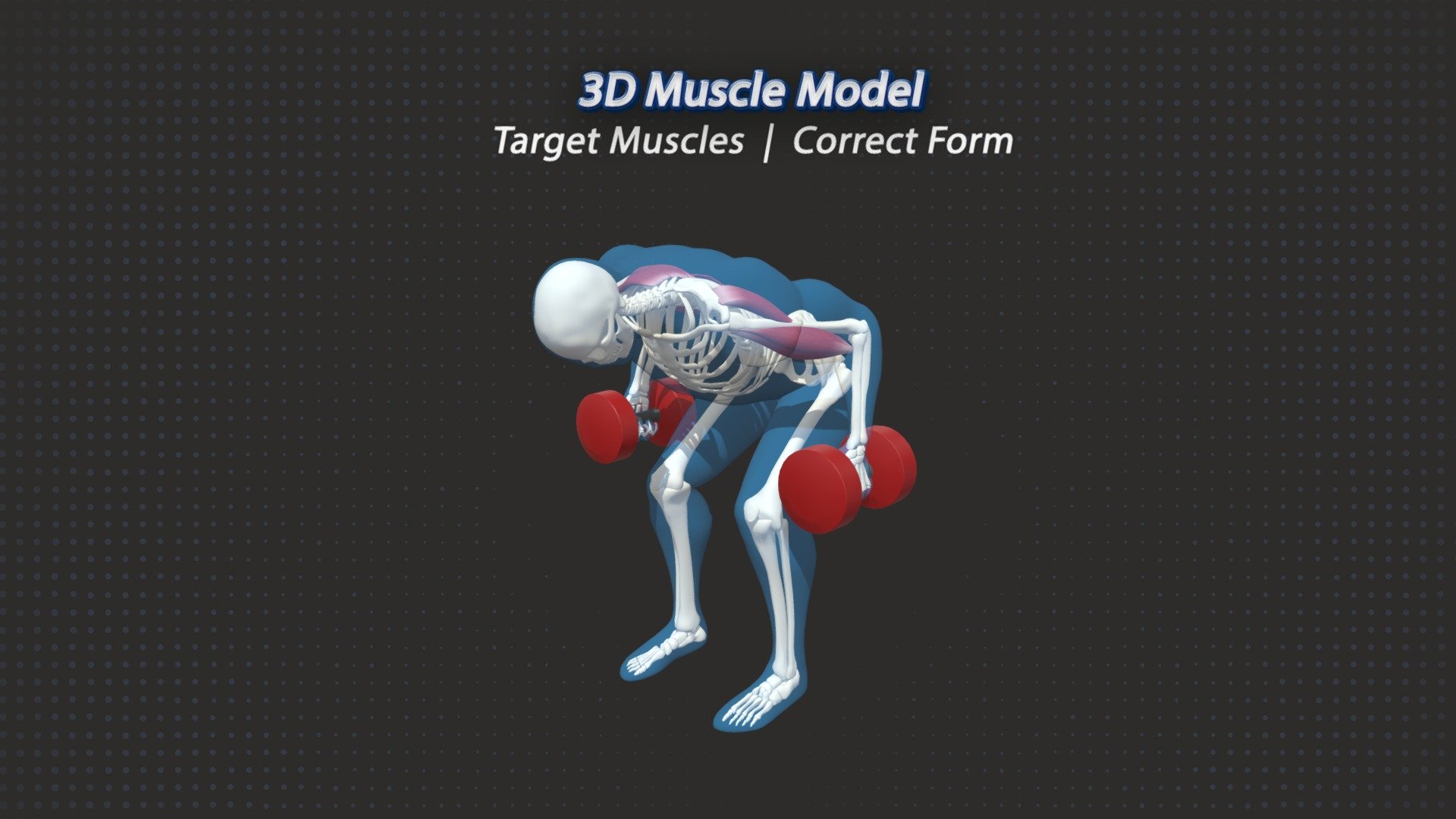 49. Dumbbell Rows 3d model