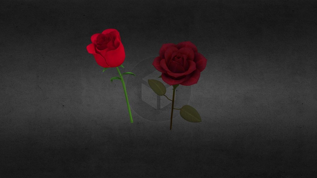 Roses models 3d model