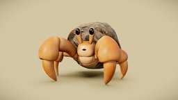 Hermit Crab