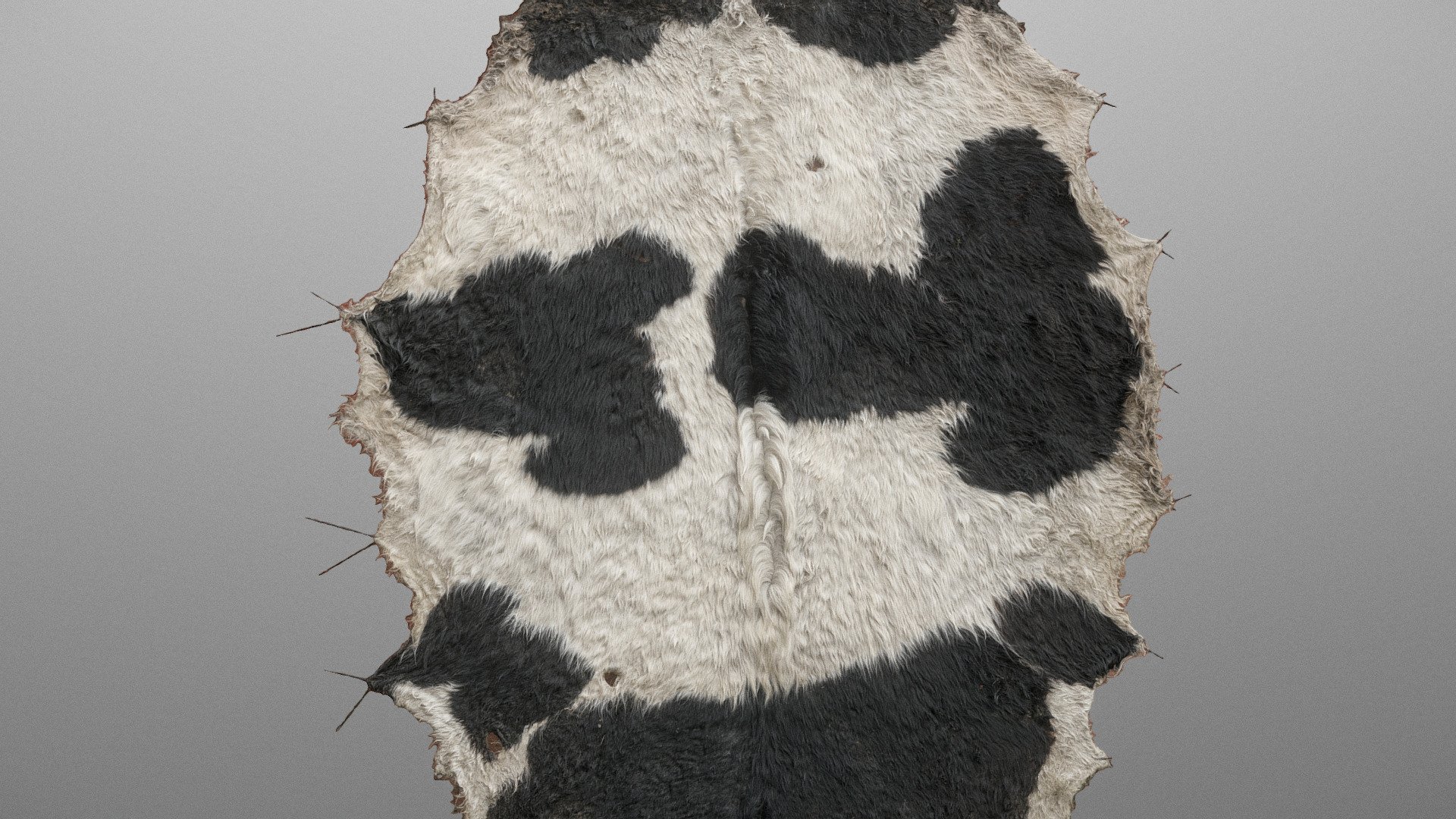 Cowhide 3d model