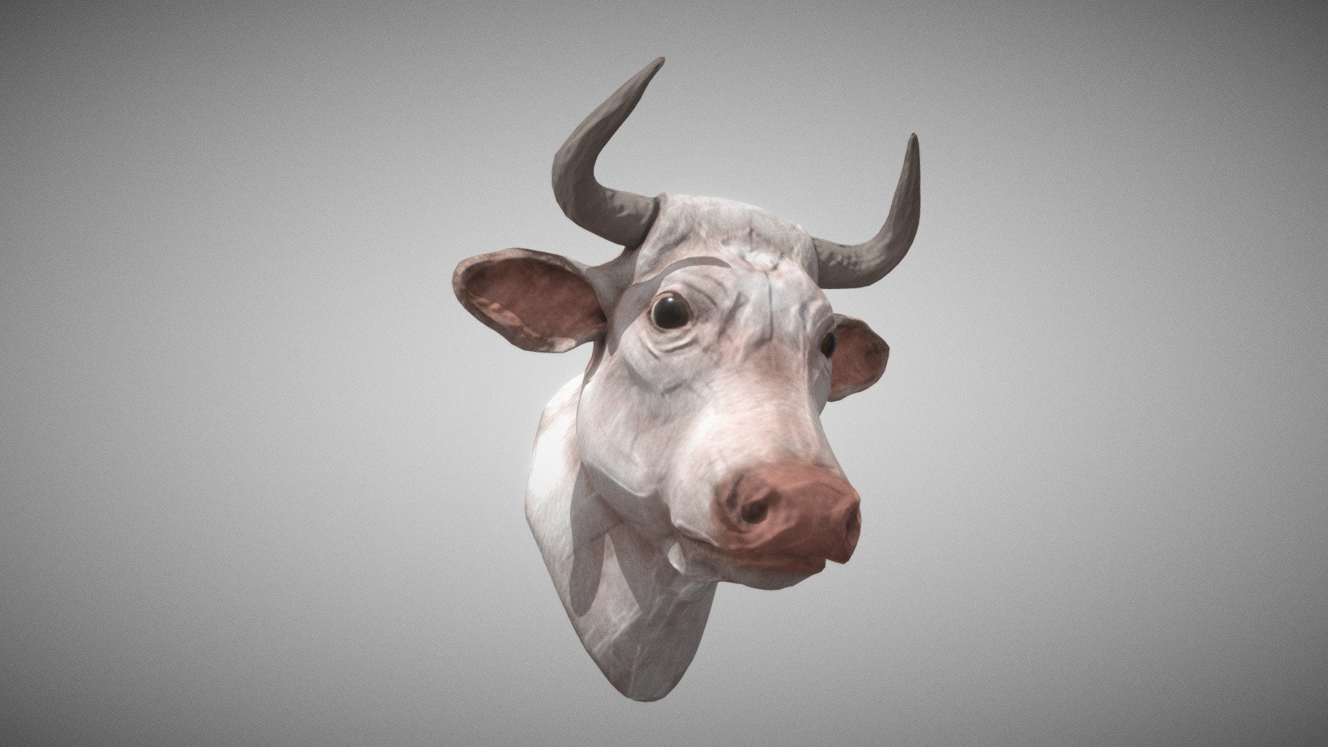 Bull 3d model