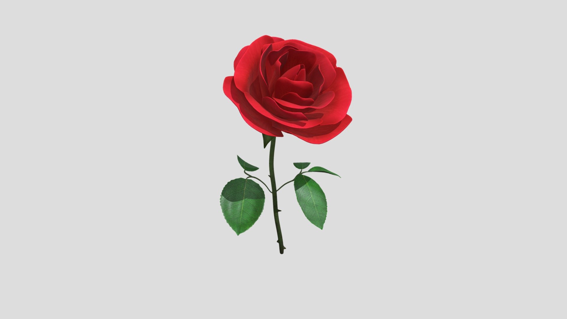 Rose 3D 3d model