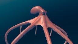 Animated octopus