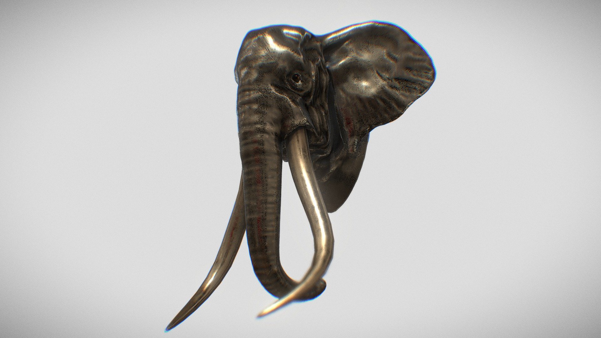 OLD TRUNK ELEPHANT texture test 3d model