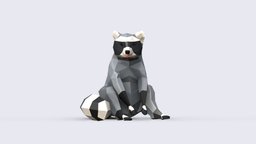 Low Poly Raccoon