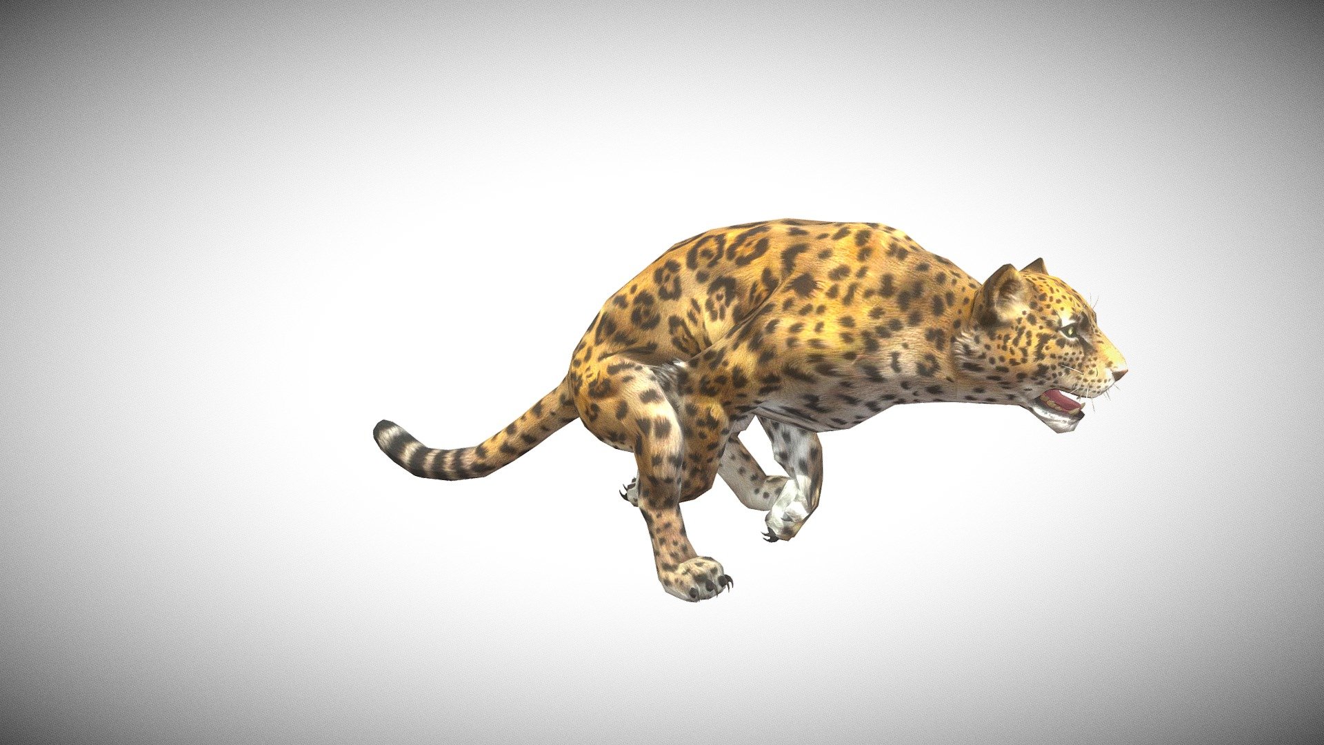 Jaguar 3d model