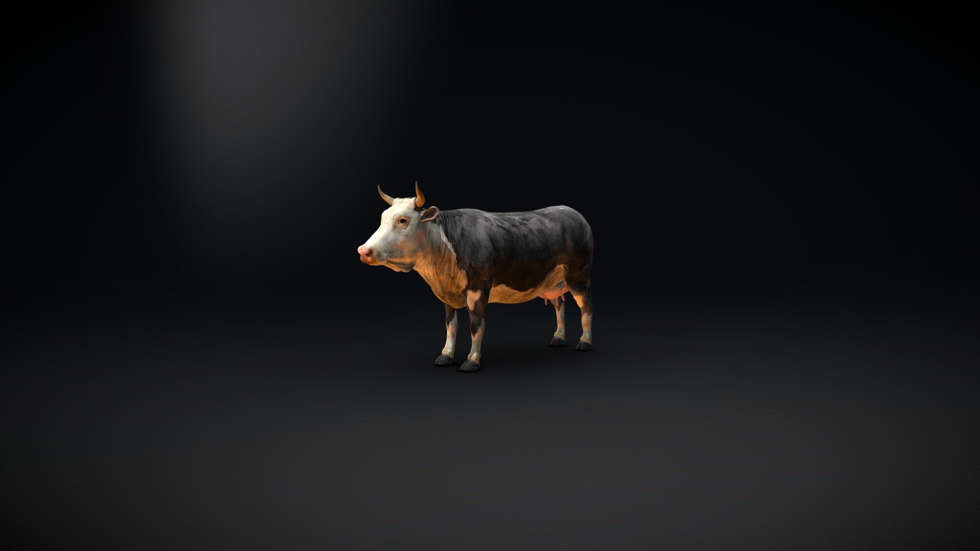 Cow Skin 3d model