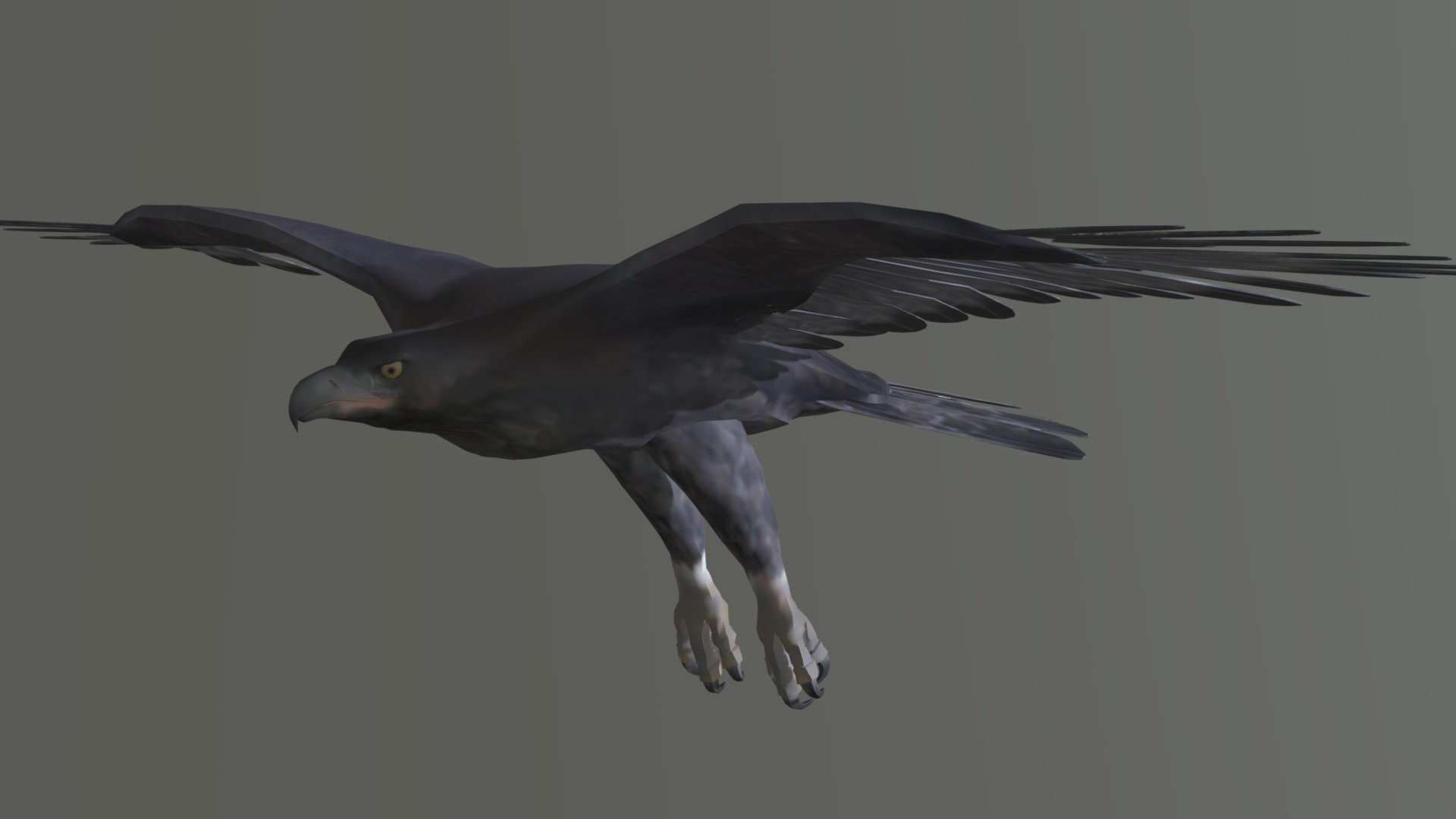 EAGLE 3d model