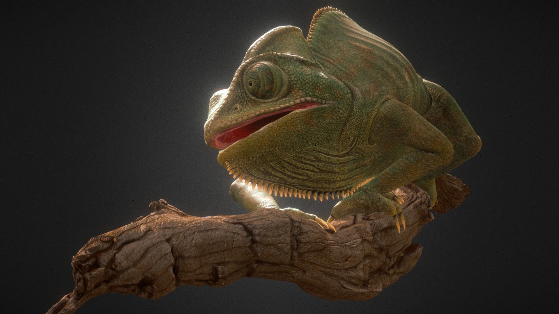 Veiled Chameleon 3d model