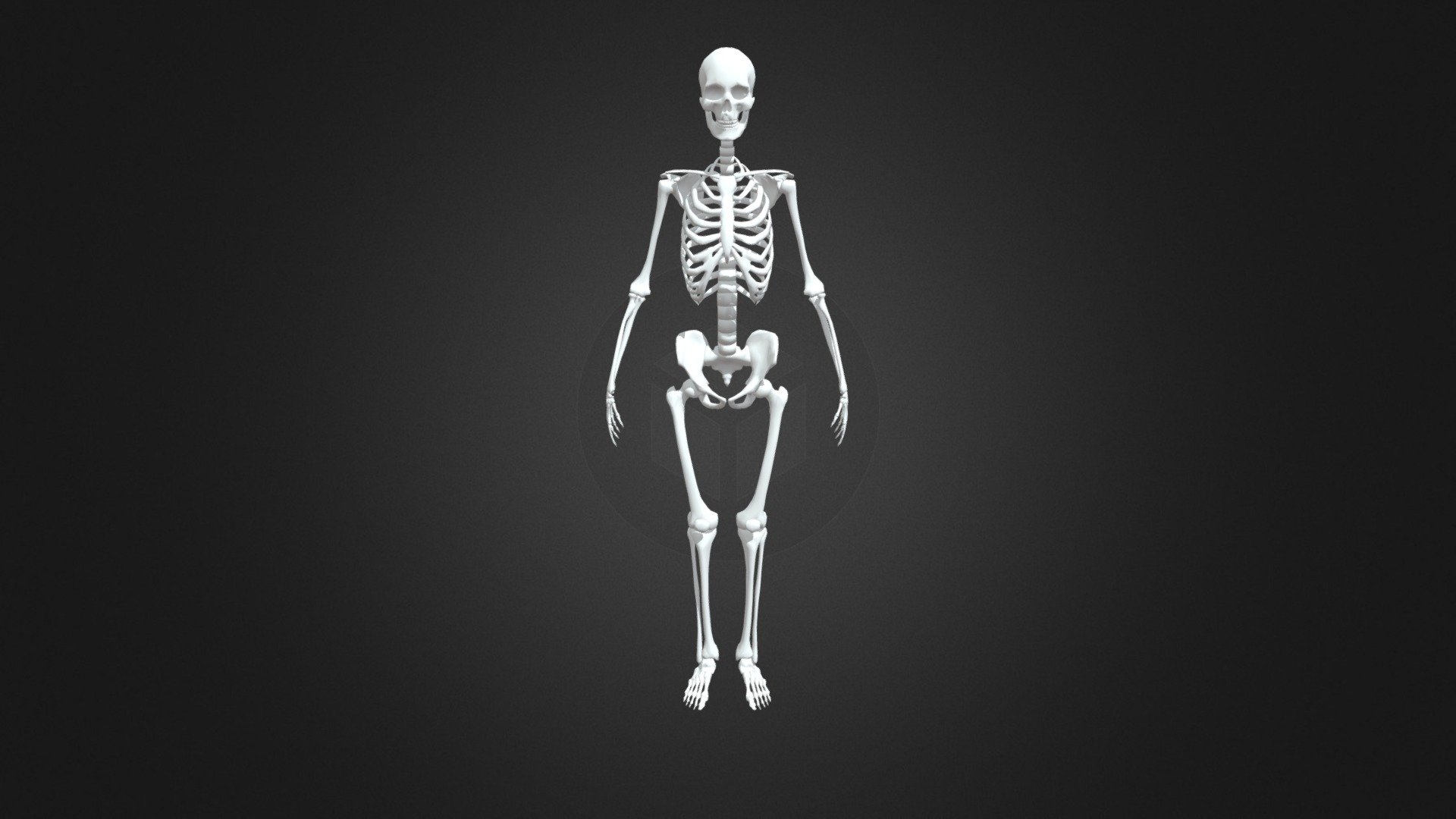 Dancing Skeleton 3d model