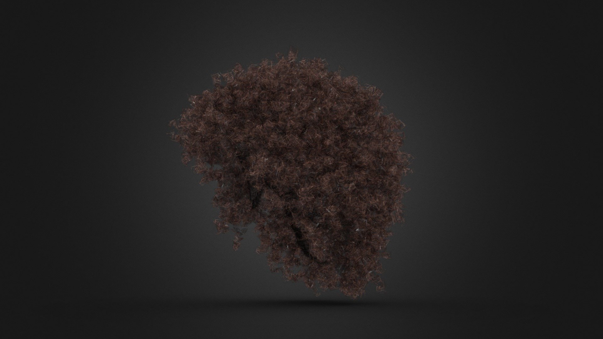 Curly Hairs v9 3d model