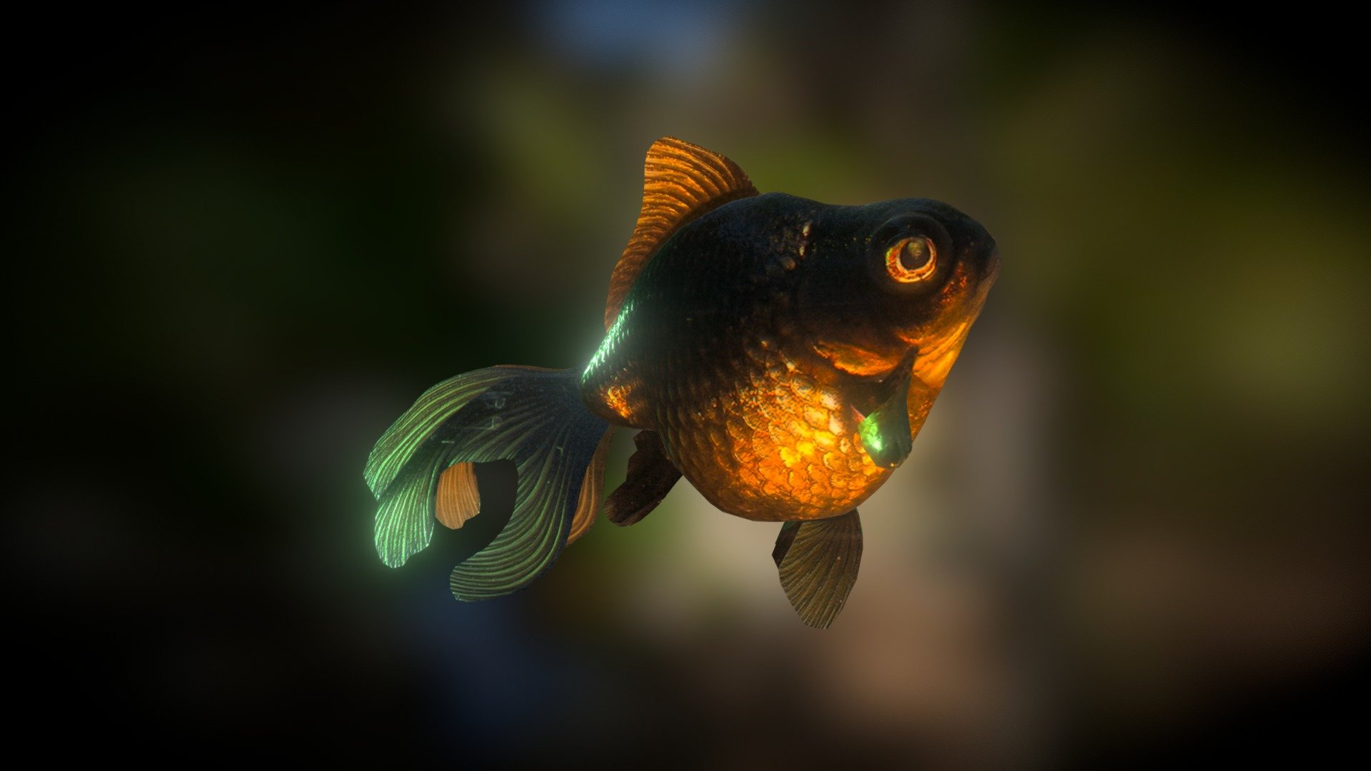 Black Moor Goldfish (Smoothie-3D upload) 3d model