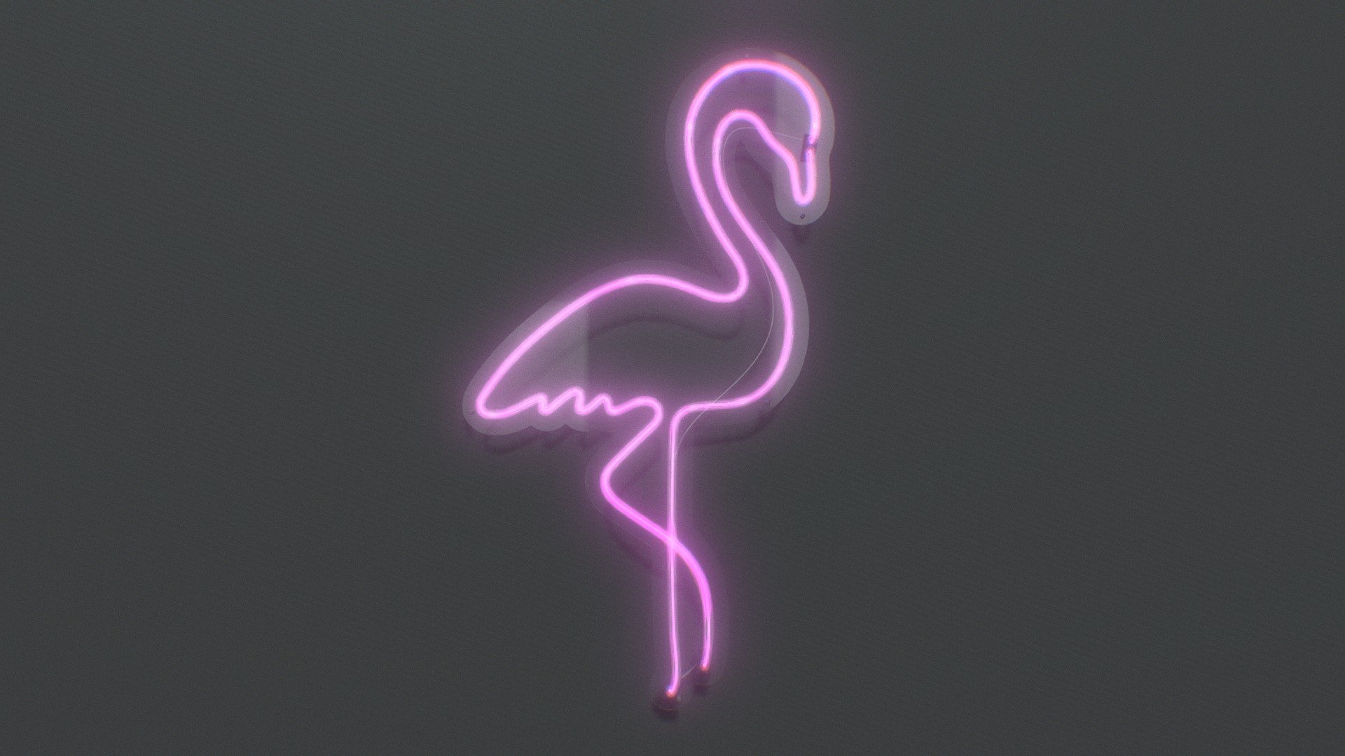 Flamingo 3d model