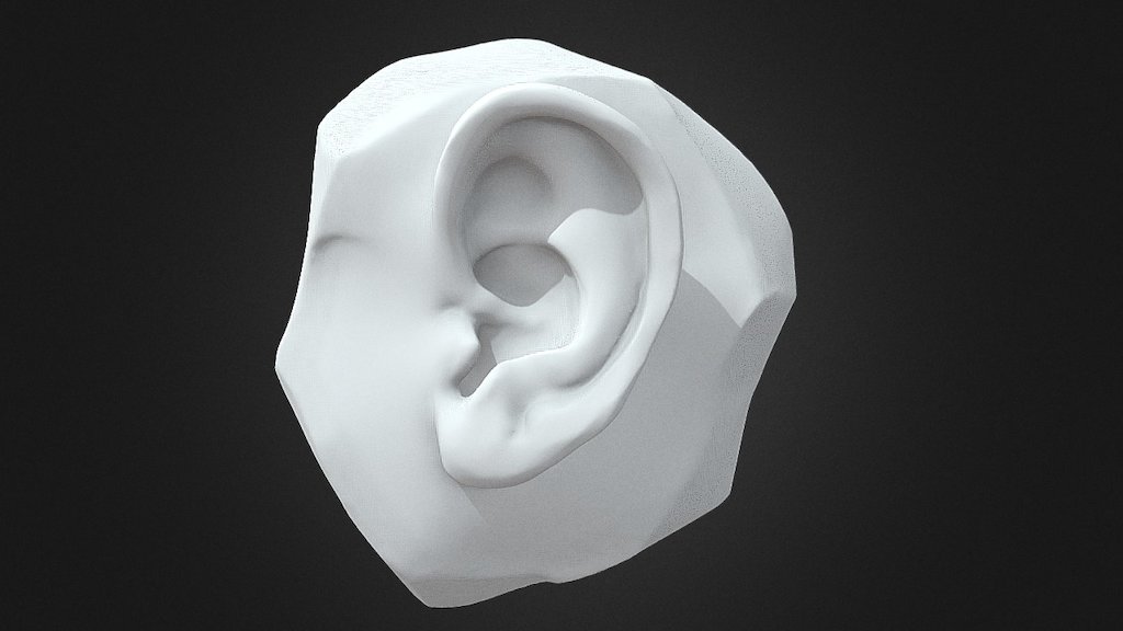 Ear Sculpt 3d model