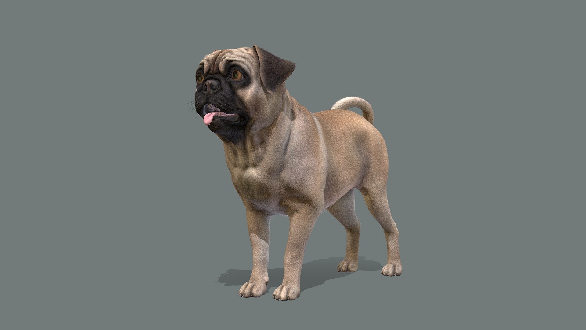 Dog 3d model