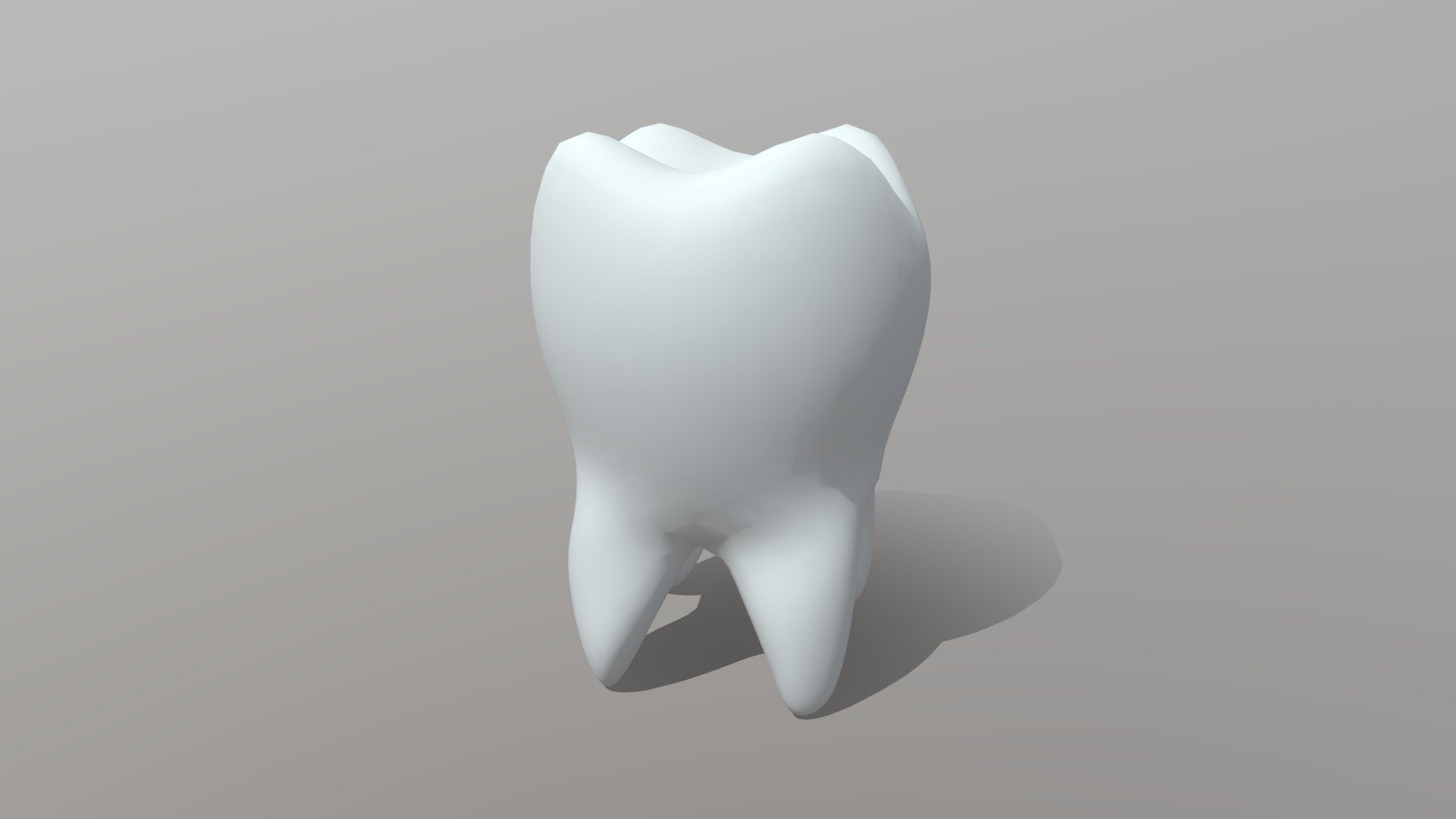 Molar (Tooth) 3d model