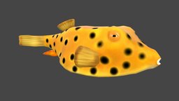 Yellow Boxfish