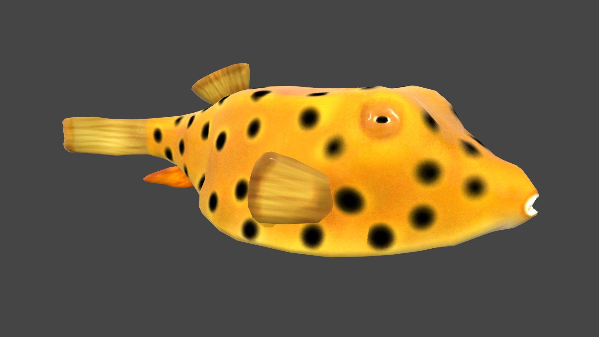 Yellow Boxfish 3d model