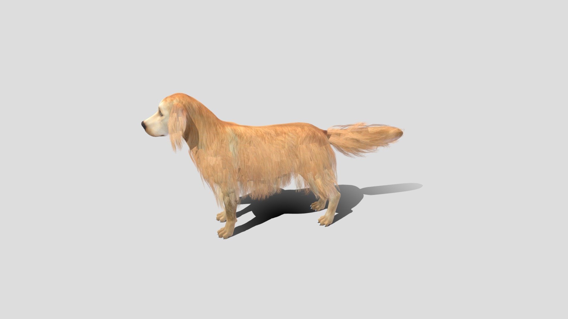 German_Shepherd 3d model