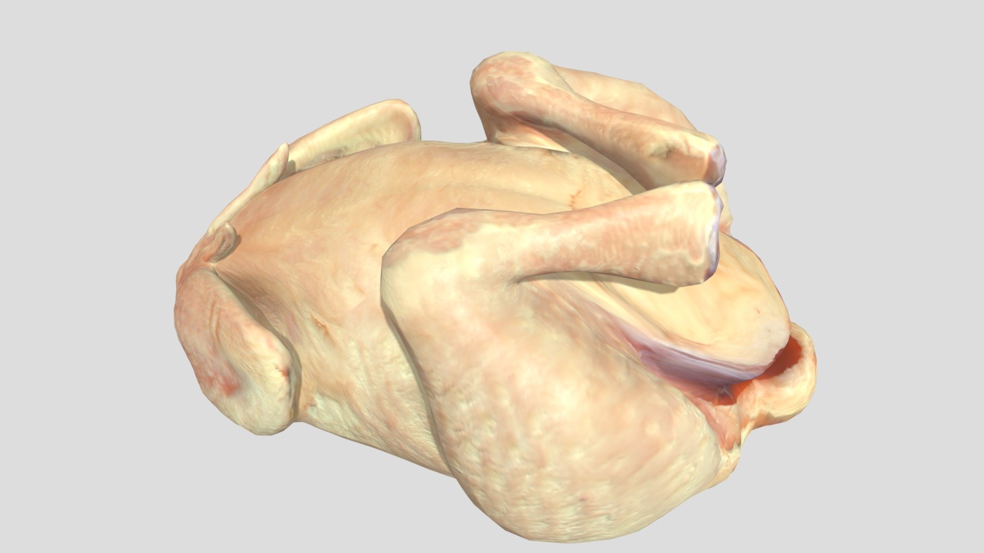 Turkey 3d model