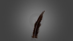 Feather Textured Test