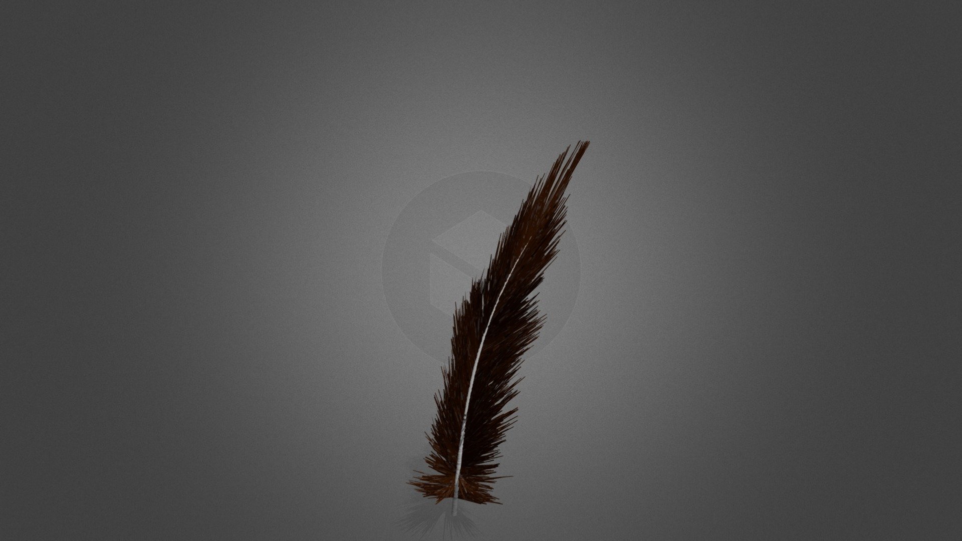 Feather Textured Test 3d model