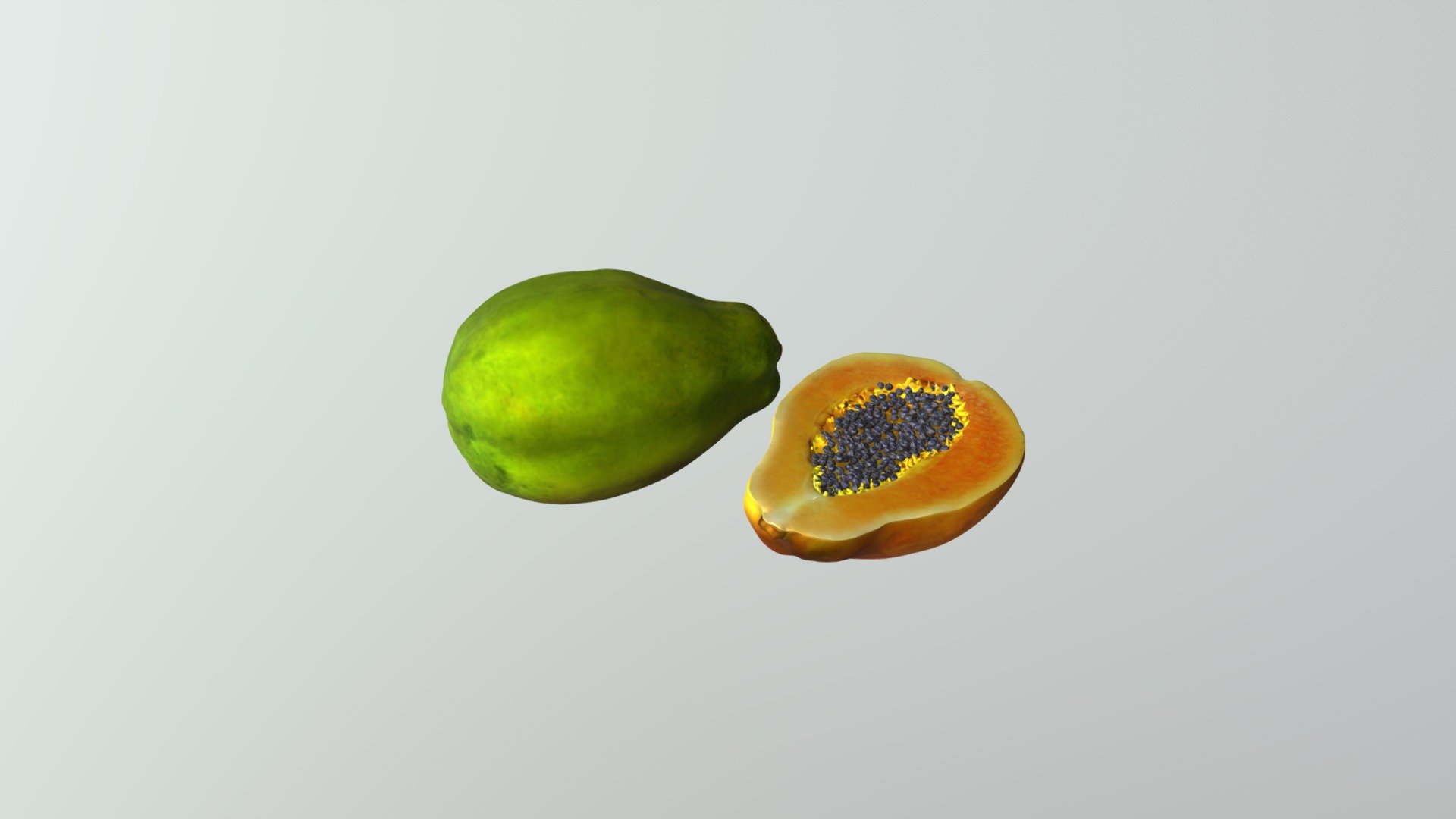 Papaya 3d model