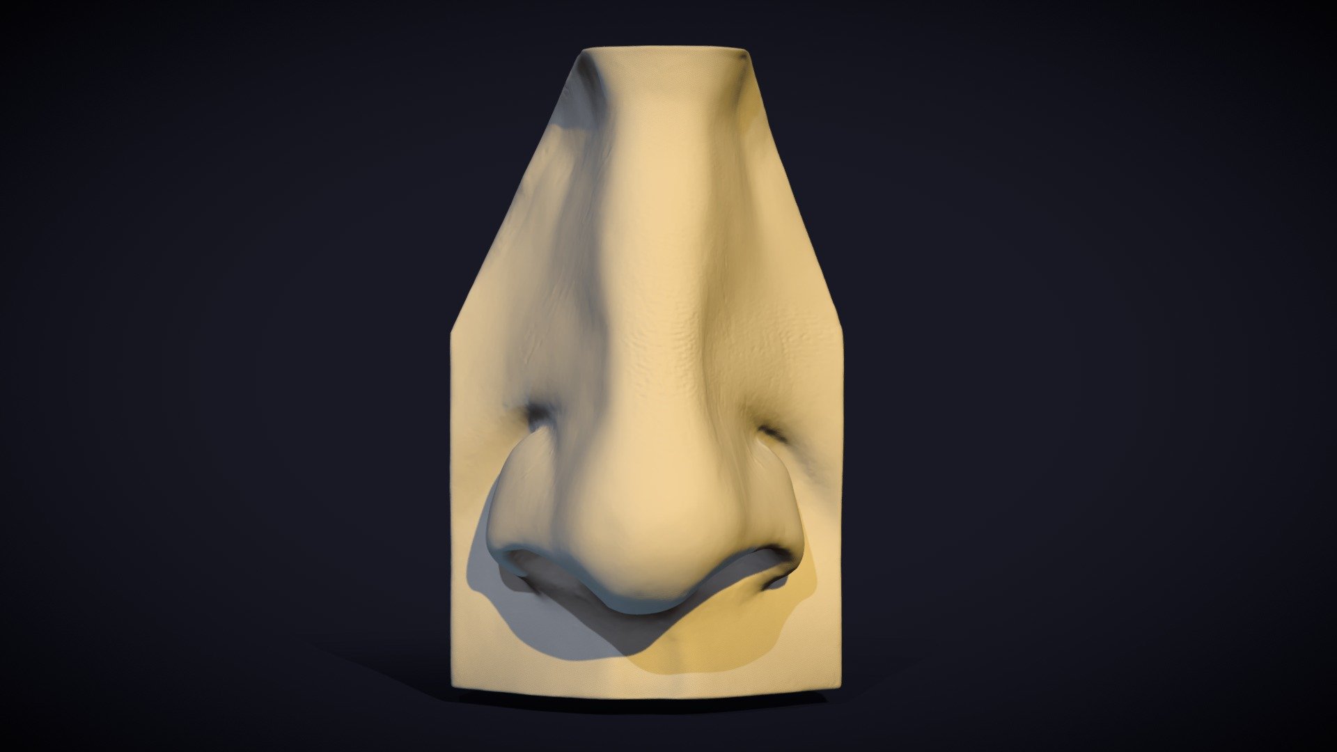 David Nose/ Nariz 3d model