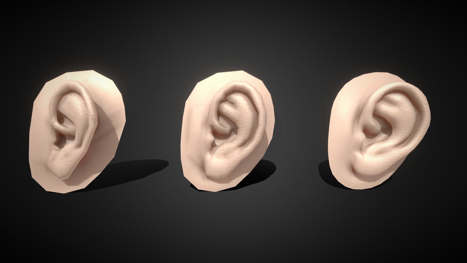 Ear Base mesh with LOD shapes 3d model