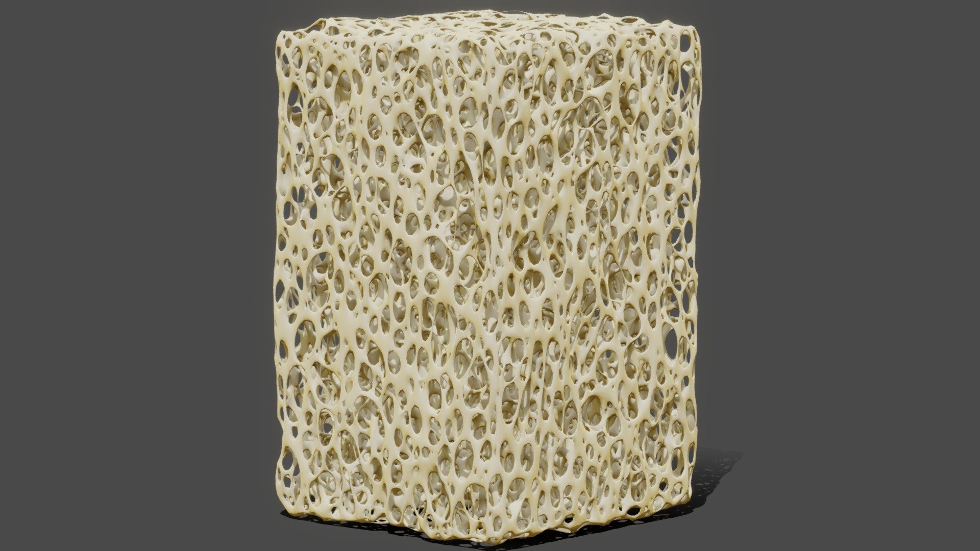 Bone Structure 3d model