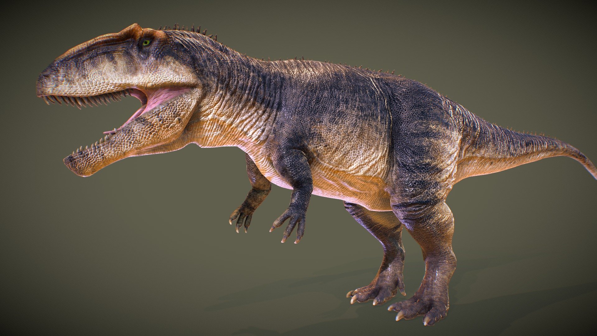 Giganotosaurus (for animation) 3d model