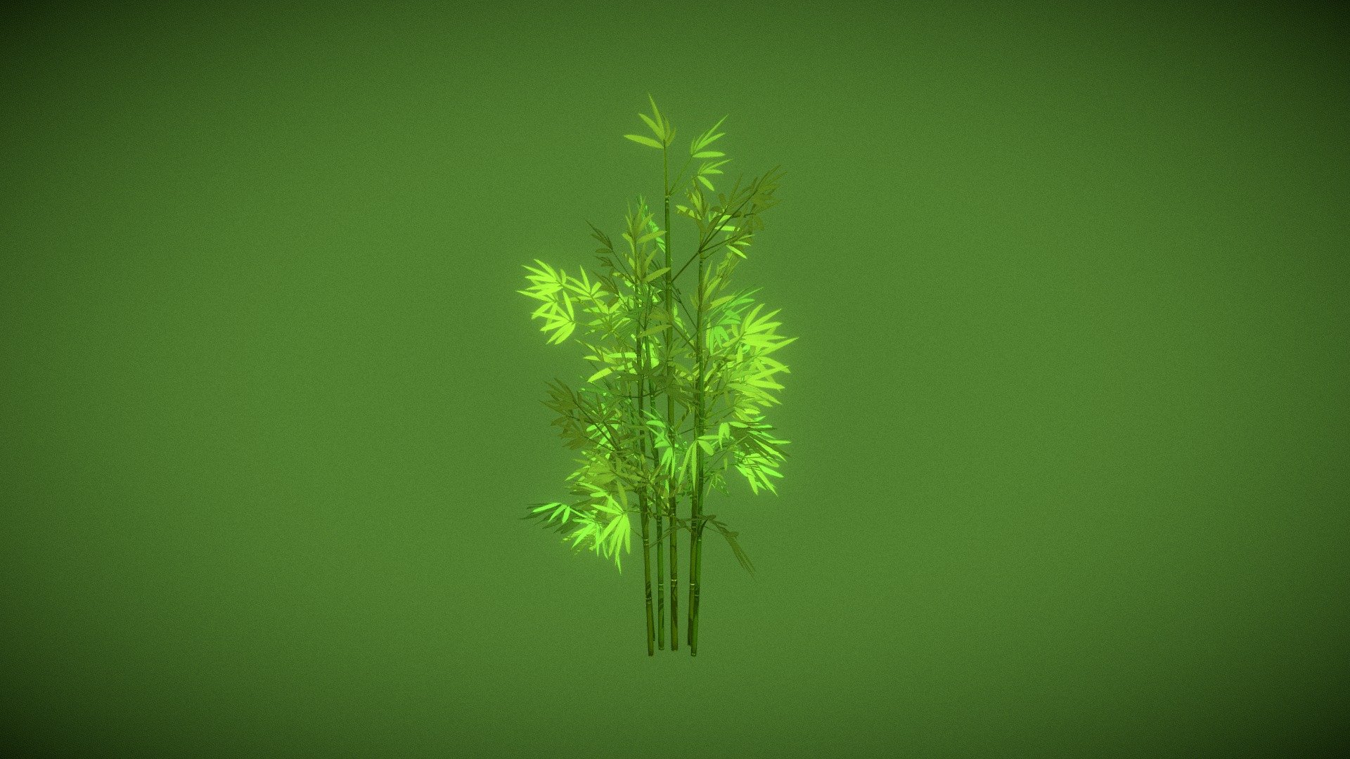 Bamboo Bush 3d model