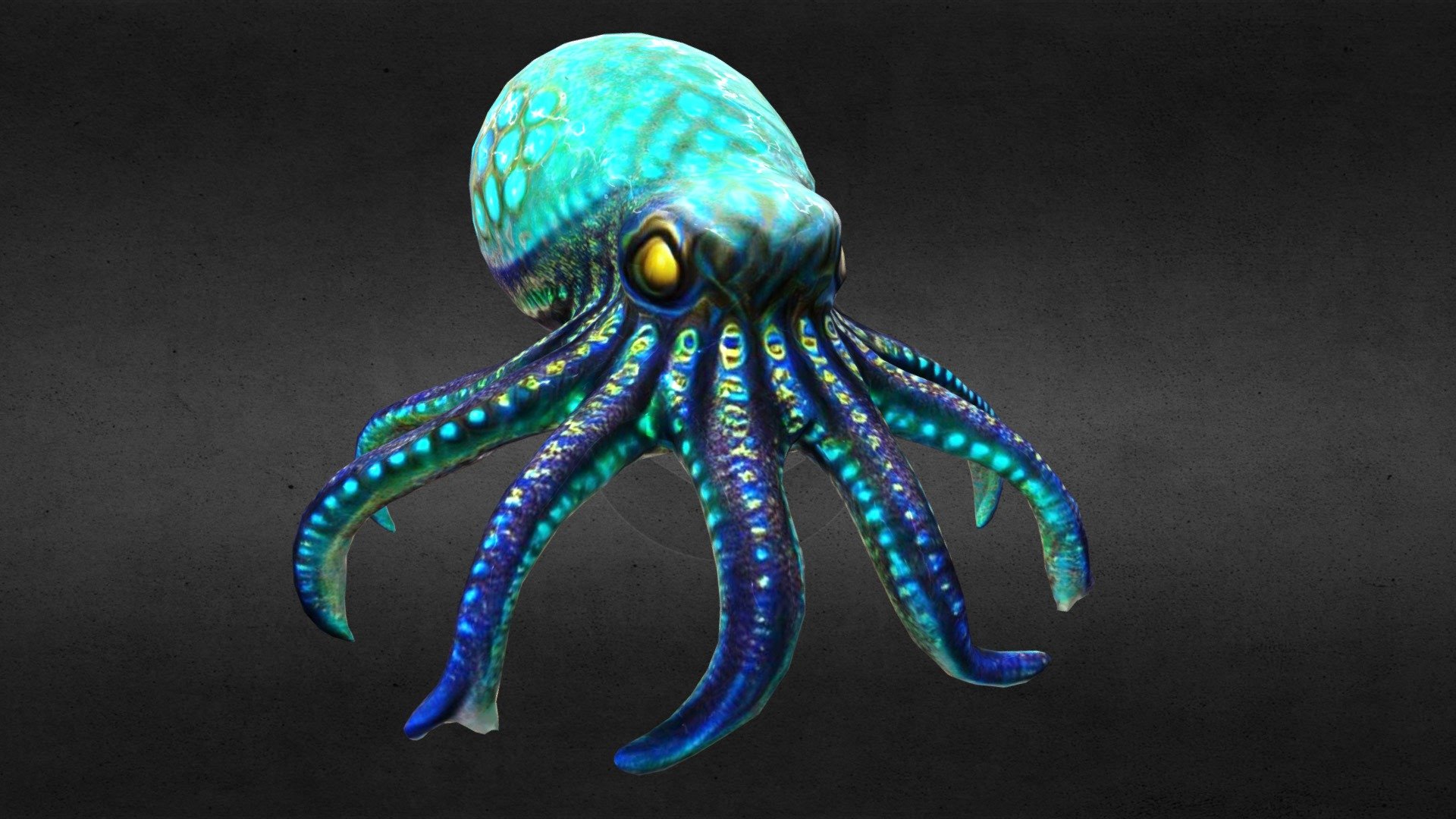 Octopus Squid Alpha 3d model