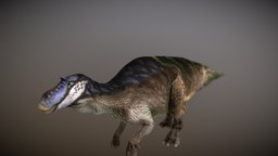 Maiasaura