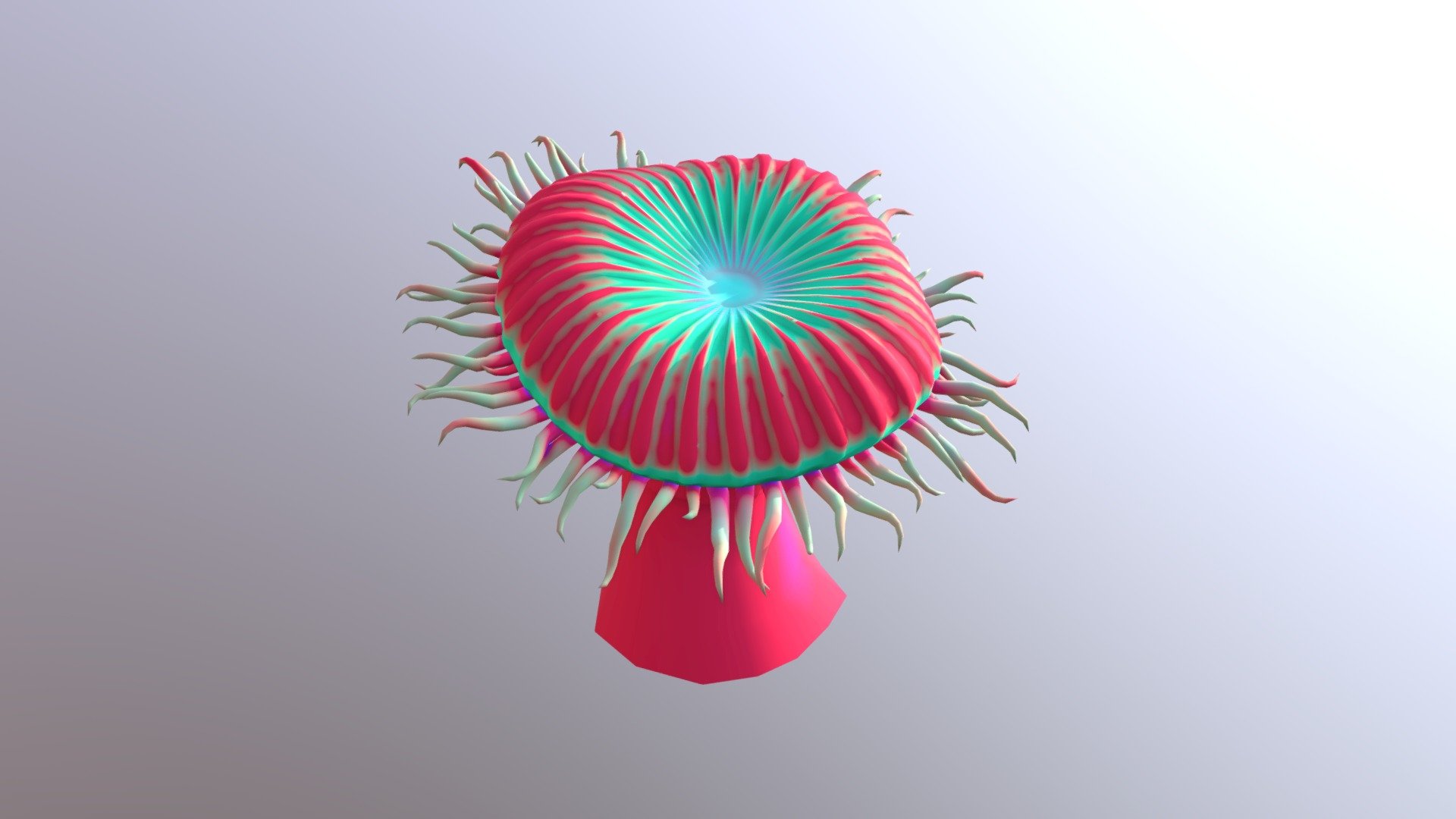 SM_Anemone_05 3d model